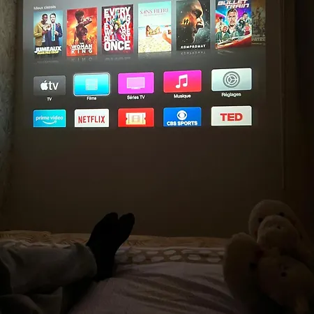 Apartament & Cosy T2 Toulousain Tuluza