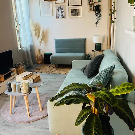 Appartamento & Cosy T2 Toulousain