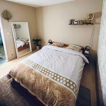 Apartament & Cosy T2 Toulousain Tuluza