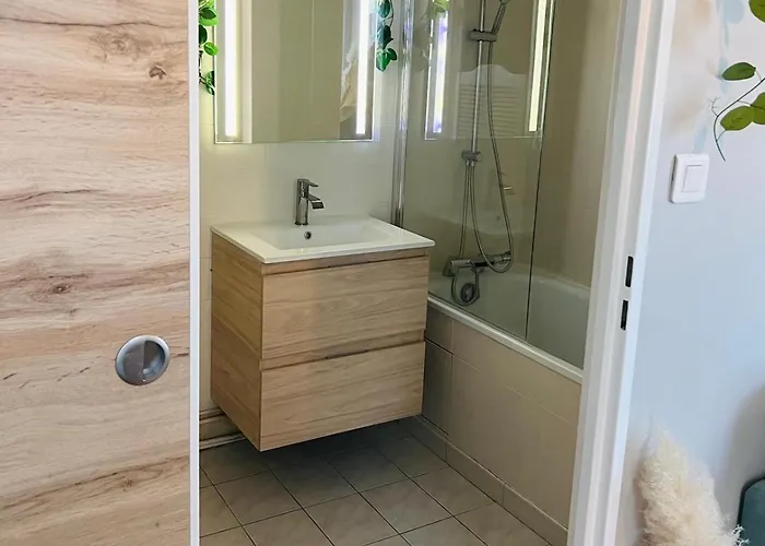 Appartement & Cosy T2 Toulousain Toulouse