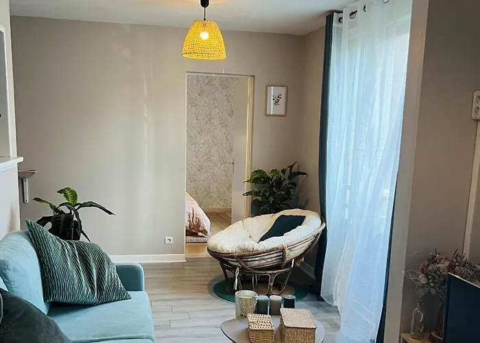 & Cosy T2 Toulousain Appartement