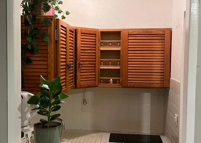 & Cosy T2 Toulousain Appartement