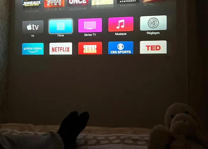 Appartement & Cosy T2 Toulousain Toulouse