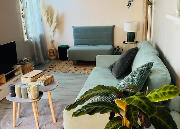 Апартаменты & Cosy T2 Toulousain