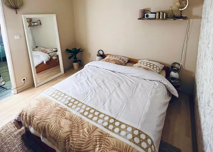 Apartman & Cosy T2 Toulousain Toulouse